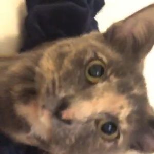 Meet your Posher, Ruth